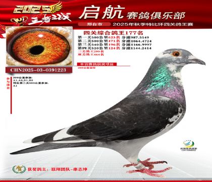 啟航四關(guān)鴿王177名