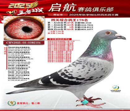 啟航四關(guān)鴿王178名