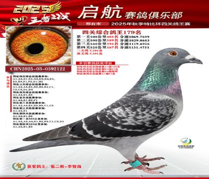 啟航四關(guān)鴿王179名
