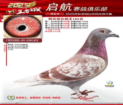 啟航四關(guān)鴿王182名