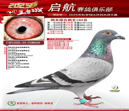 啟航四關(guān)鴿王183名