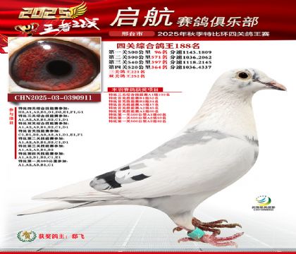 啟航四關(guān)鴿王188名