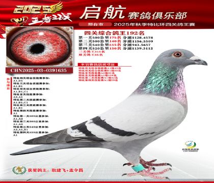 啟航四關(guān)鴿王192名