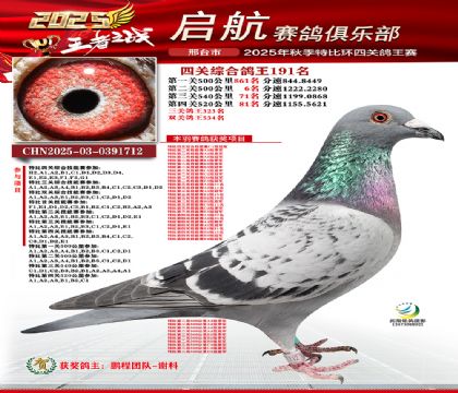 啟航四關(guān)鴿王191名
