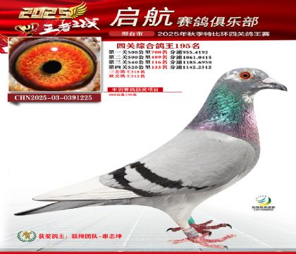 啟航四關(guān)鴿王195名