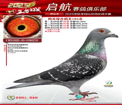 啟航四關(guān)鴿王194名
