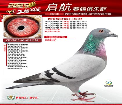 啟航四關(guān)鴿王193名