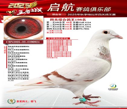 啟航四關(guān)鴿王198名