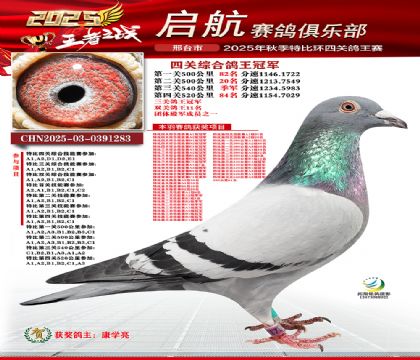 啟航四關(guān)鴿王冠軍