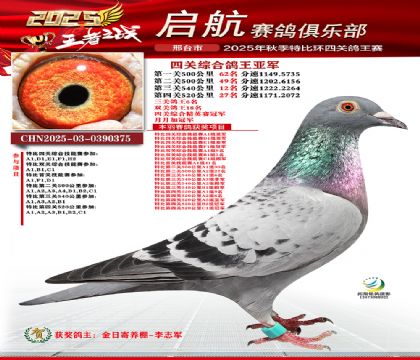 啟航四關(guān)鴿王亞軍