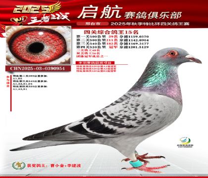 啟航四關(guān)鴿王15名