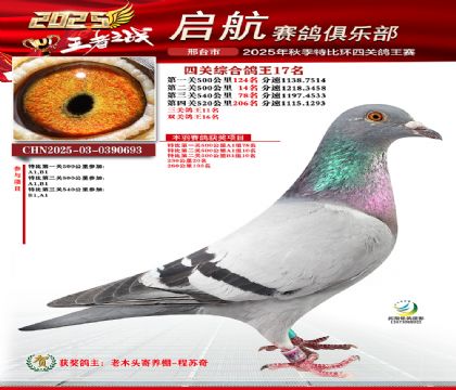 啟航四關(guān)鴿王17名
