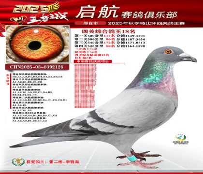 啟航四關(guān)鴿王18名