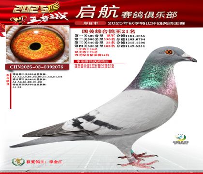 啟航四關(guān)鴿王21名
