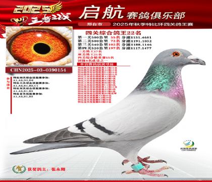 啟航四關(guān)鴿王22名