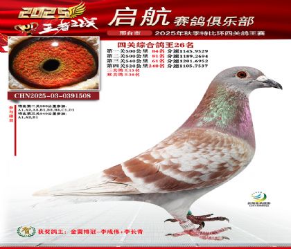 啟航四關(guān)鴿王26名