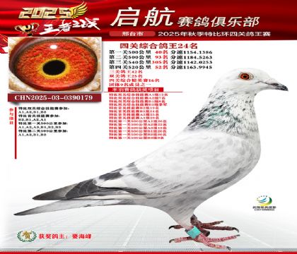 啟航四關(guān)鴿王24名
