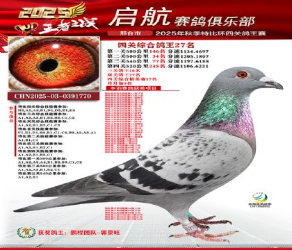 啟航四關(guān)鴿王27名