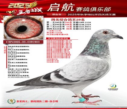 啟航四關(guān)鴿王29名
