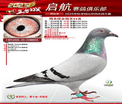啟航四關(guān)鴿王34名