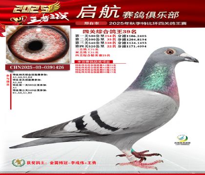 啟航四關(guān)鴿王39名
