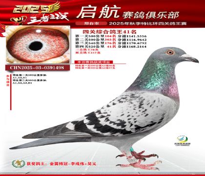 啟航四關(guān)鴿王41名