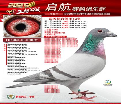 啟航四關(guān)鴿王42名