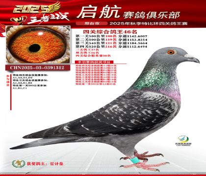 啟航四關(guān)鴿王46名