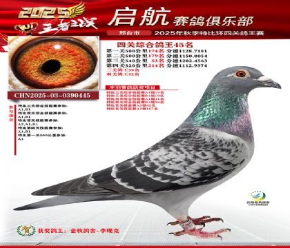 啟航四關(guān)鴿王45名