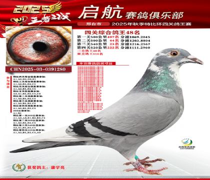 啟航四關(guān)鴿王48名