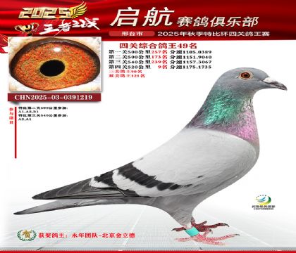 啟航四關(guān)鴿王49名