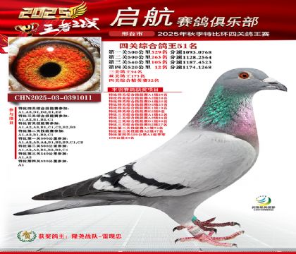 啟航四關(guān)鴿王51名