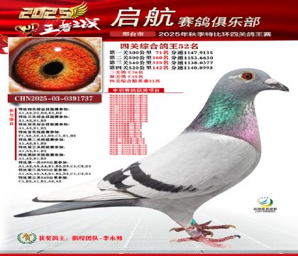 啟航四關(guān)鴿王52名