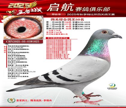 啟航四關(guān)鴿王50名