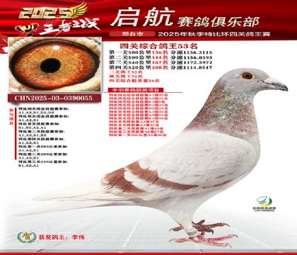 啟航四關(guān)鴿王53名