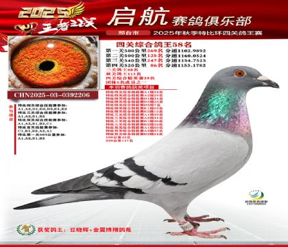 啟航四關(guān)鴿王58名