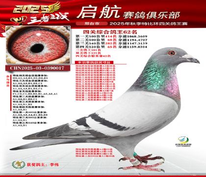 啟航四關(guān)鴿王62名