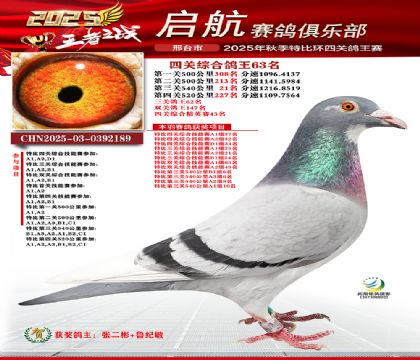 啟航四關(guān)鴿王63名