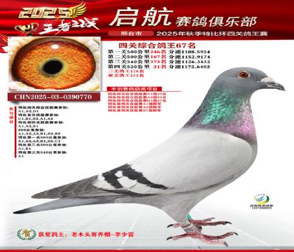 啟航四關(guān)鴿王67名