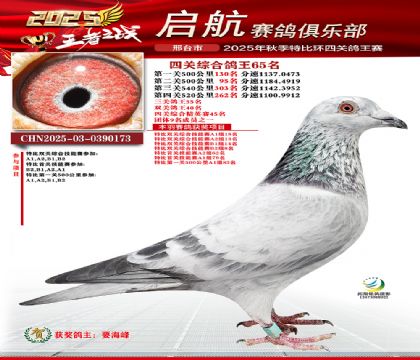 啟航四關(guān)鴿王65名