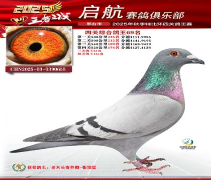 啟航四關(guān)鴿王69名