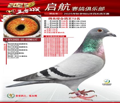 啟航四關(guān)鴿王72名
