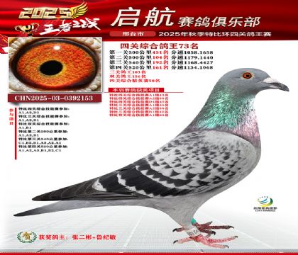 啟航四關(guān)鴿王73名