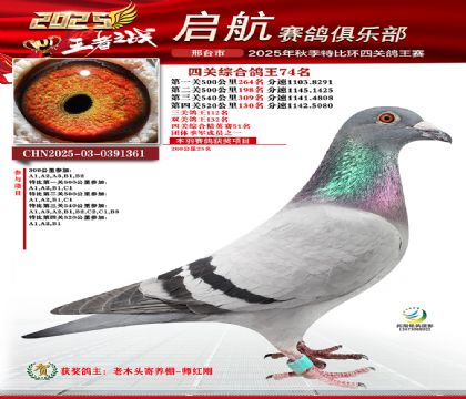 啟航四關(guān)鴿王74名