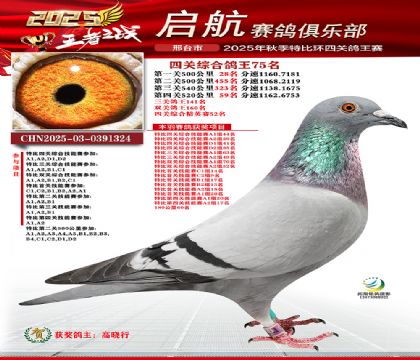 啟航四關(guān)鴿王75名