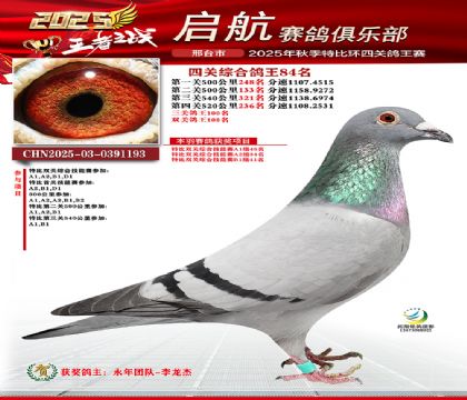 啟航四關(guān)鴿王84名