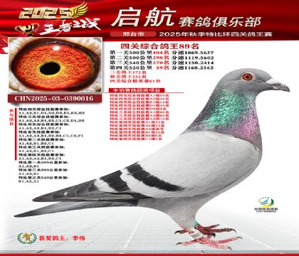 啟航四關(guān)鴿王89名