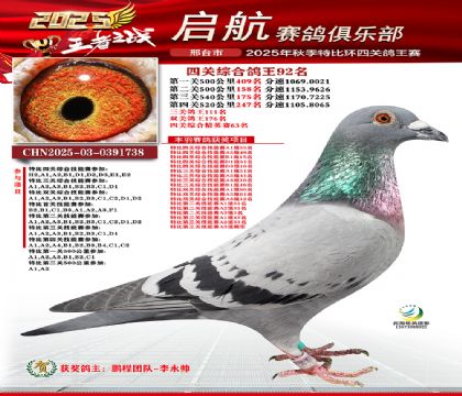 啟航四關(guān)鴿王92名