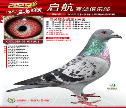 啟航四關(guān)鴿王100名