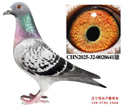 1.总教头58名直子X总教头奔驰小姐直孙女